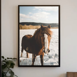 Winter Horse in the Snow Poster