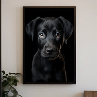 Portrait Of A Black Labrador Puppy Poster PosterGoat