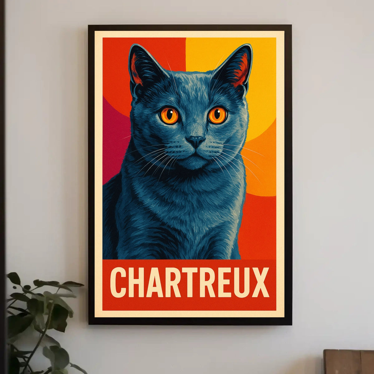 Chartreux Cat Poster