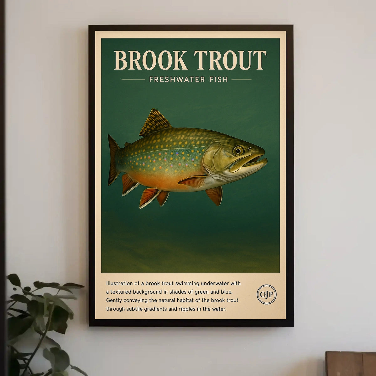 Brook Trout Freshwater Fish Poster