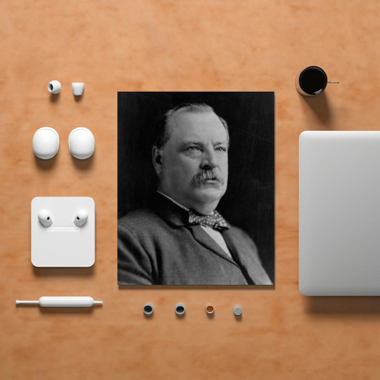 Grover Cleveland 22nd President Of The United States Photo