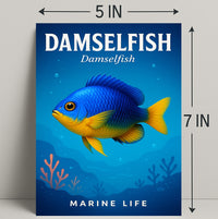 Damselfish Marine Life Poster PosterGoat