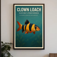 Clown Loach NatureS Performer Poster
