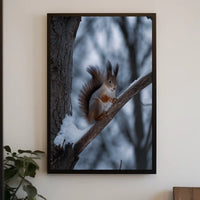Squirrel on Snowy Branch Animal Poster