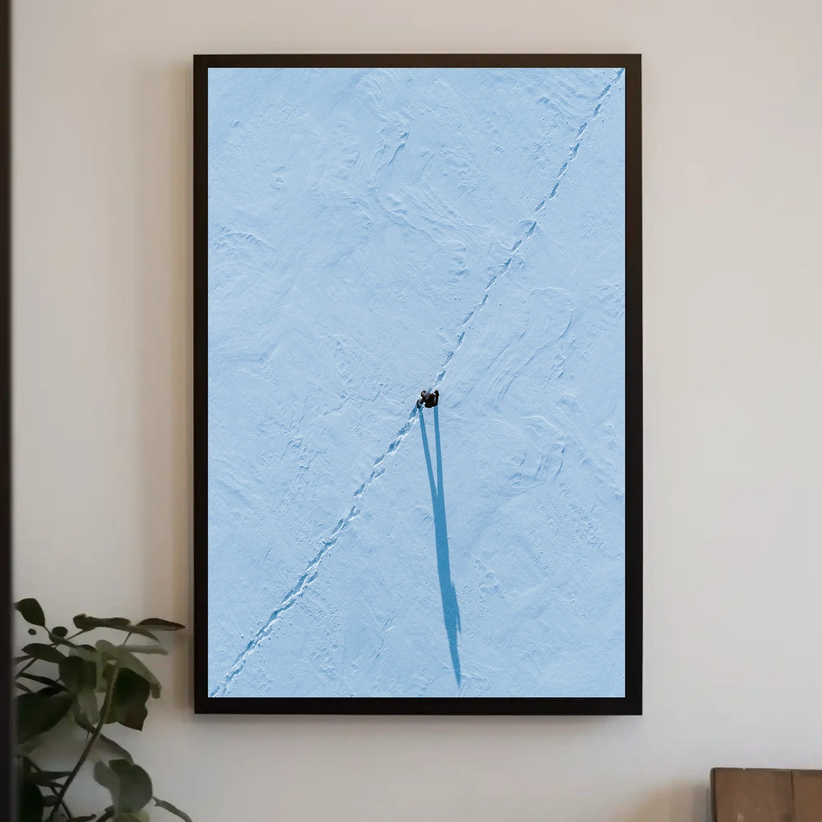 Solitary Path In Snow Poster