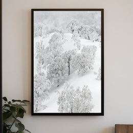 Serene Winter Wonderland Photorealistic National Park Poster