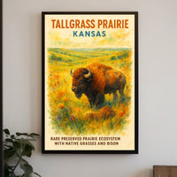 Kansas Prairie Bison Impressionist Art Poster