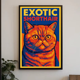 Exotic Shorthair Cat Poster