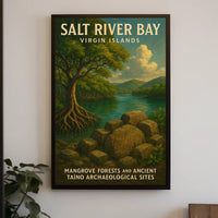 Salt River Bay Virgin Islands Poster