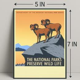 Preserve Wildlife in National Parks Poster PosterGoat