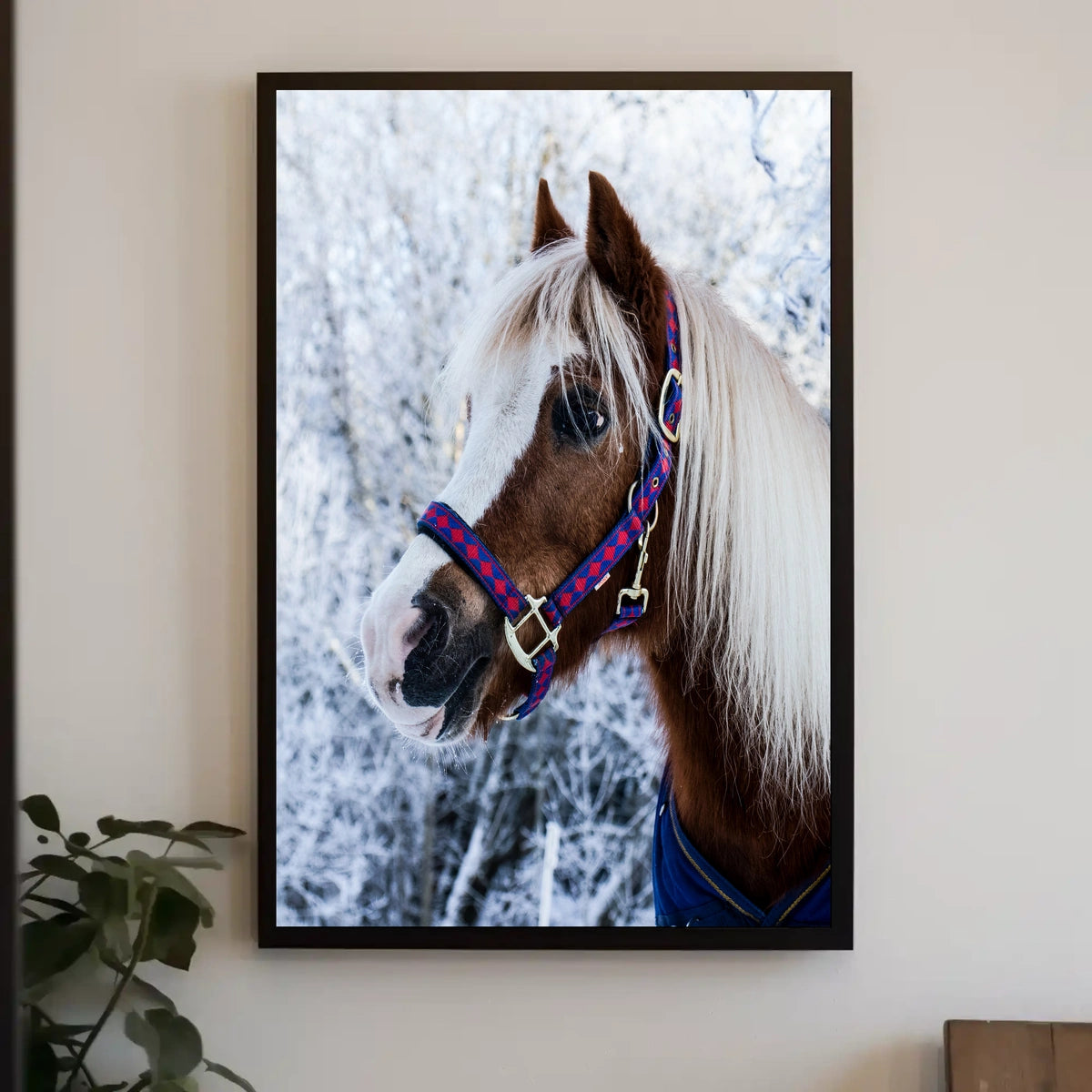 Winter Elegance Poster