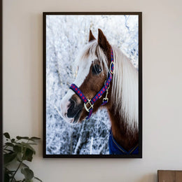 Winter Elegance Poster