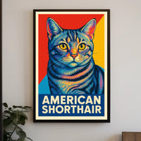 American Shorthair Poster