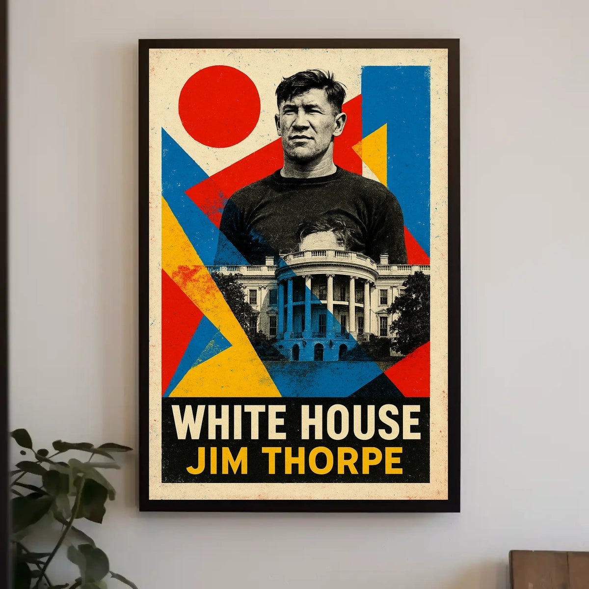 Jim Thorpe And The White House Poster