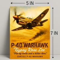 Gypsy Rose Lee P-40 Warhawk Poster PosterGoat