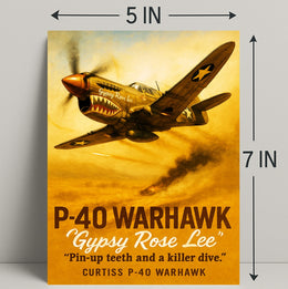 Gypsy Rose Lee P-40 Warhawk Poster PosterGoat