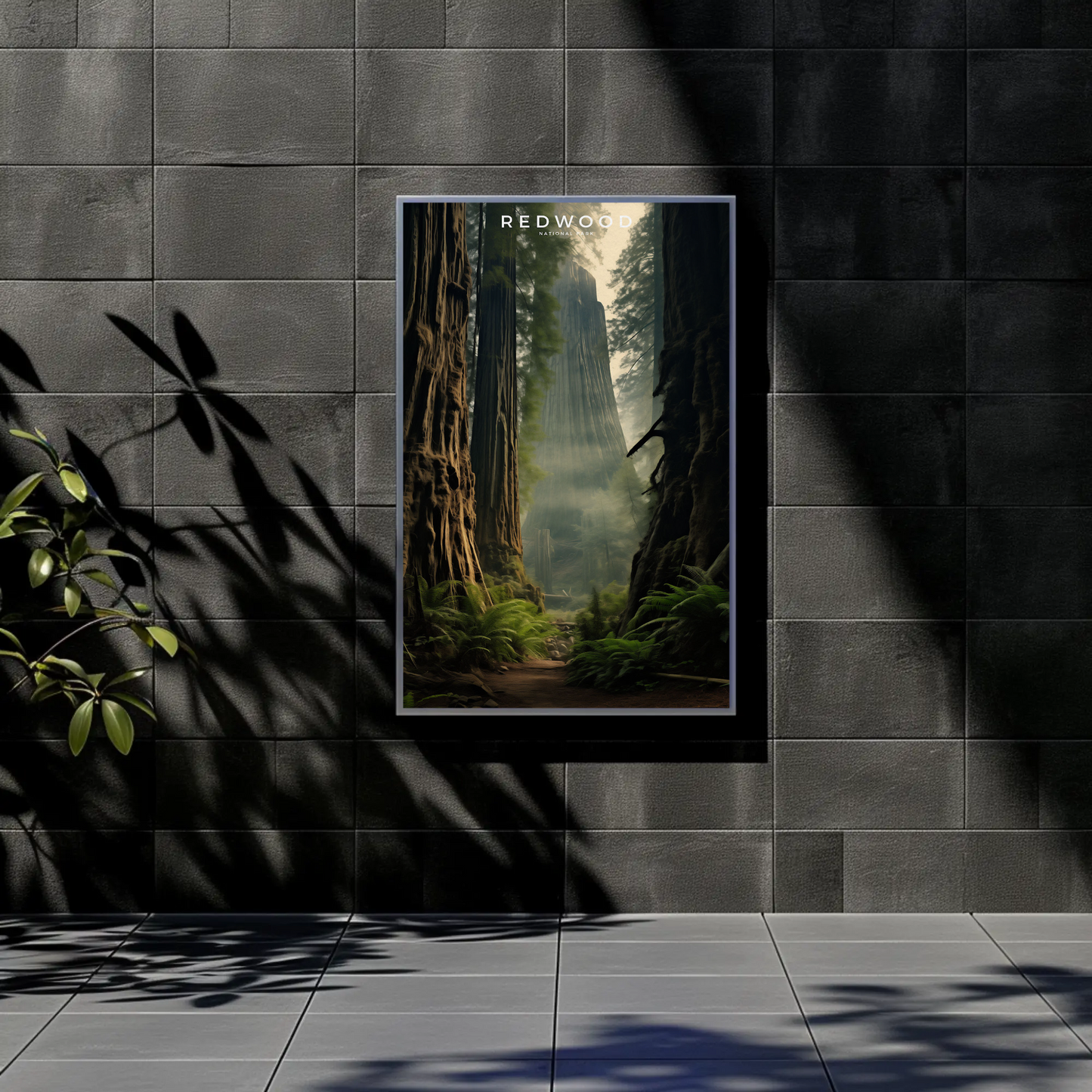 Redwood National Park Poster