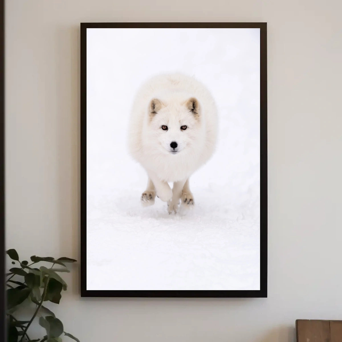Arctic Fox In Motion Poster
