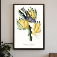 Exotic Bird on Banana Plant Poster