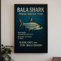 Bala Shark Freshwater Fish Poster