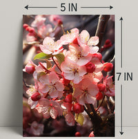 Blossoms In Bloom Poster PosterGoat