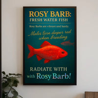 Radiate with Rosy Barb Poster