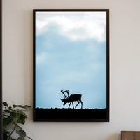 Silhouette Of A Reindeer Poster