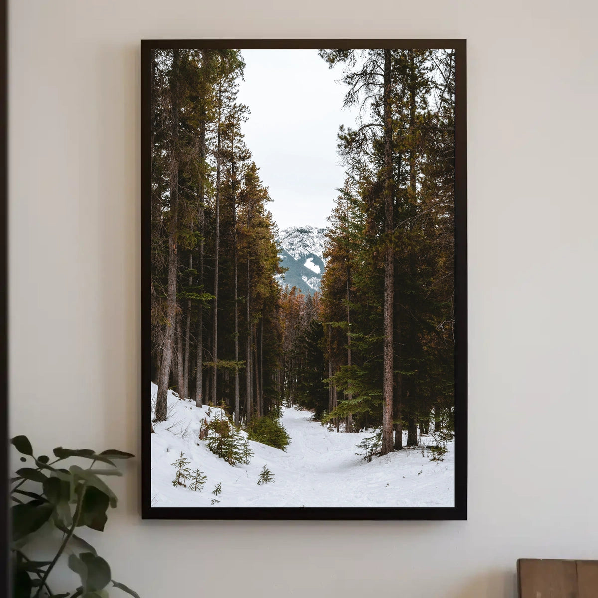 Serene Winter Landscape National Park Poster