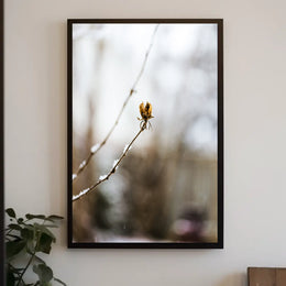 WinterS Embrace Poster