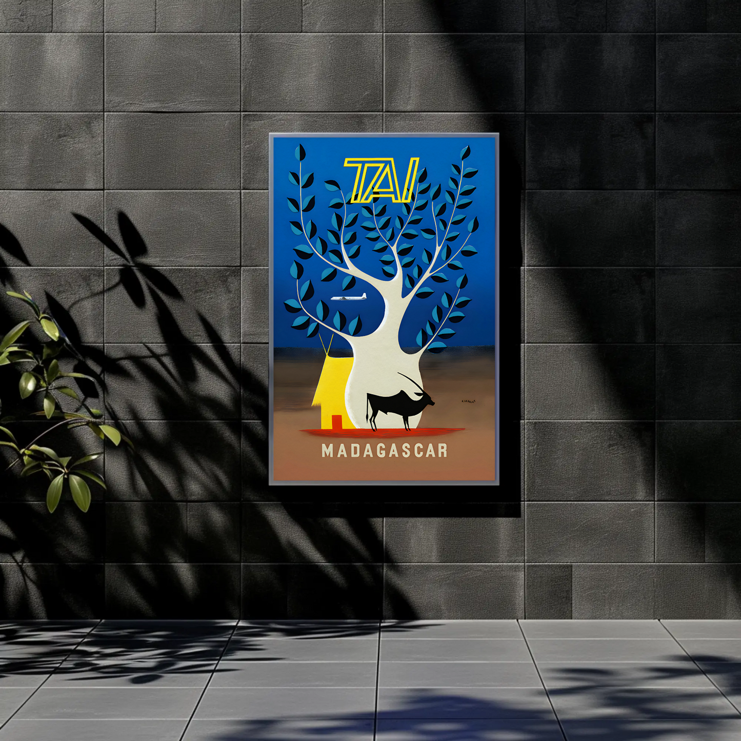 Fly TAI to Madagascar