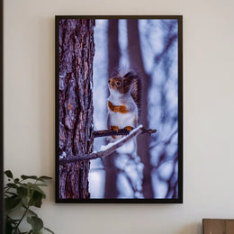 Winter Serenity Poster