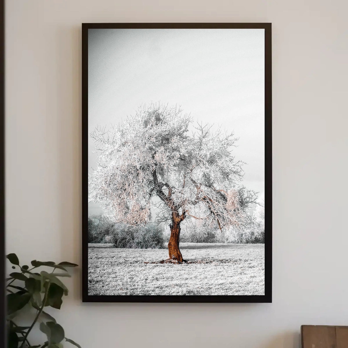 WinterS Embrace Poster