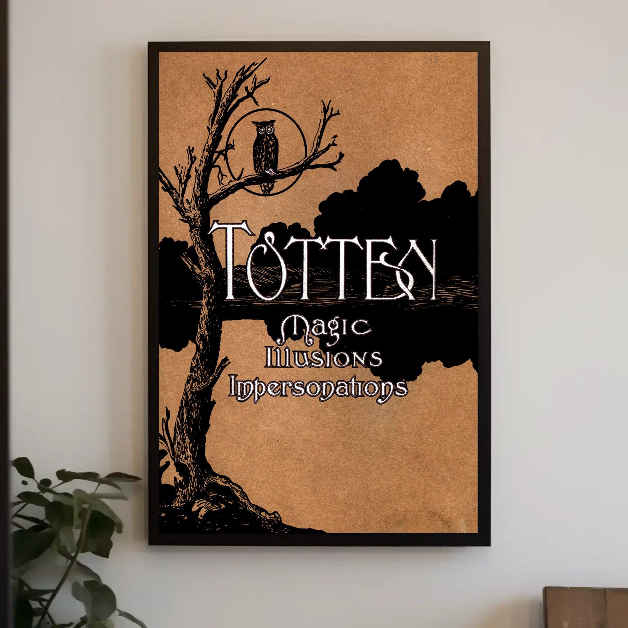 Magic and Mystery Vintage Artistic Illusion Poster