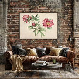 Botanical Elegance Red-Peony Flowers Vintage Artistic Poster