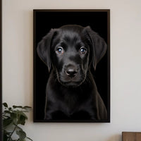 Black Labrador Puppy Close-Up Realistic Animal Poster