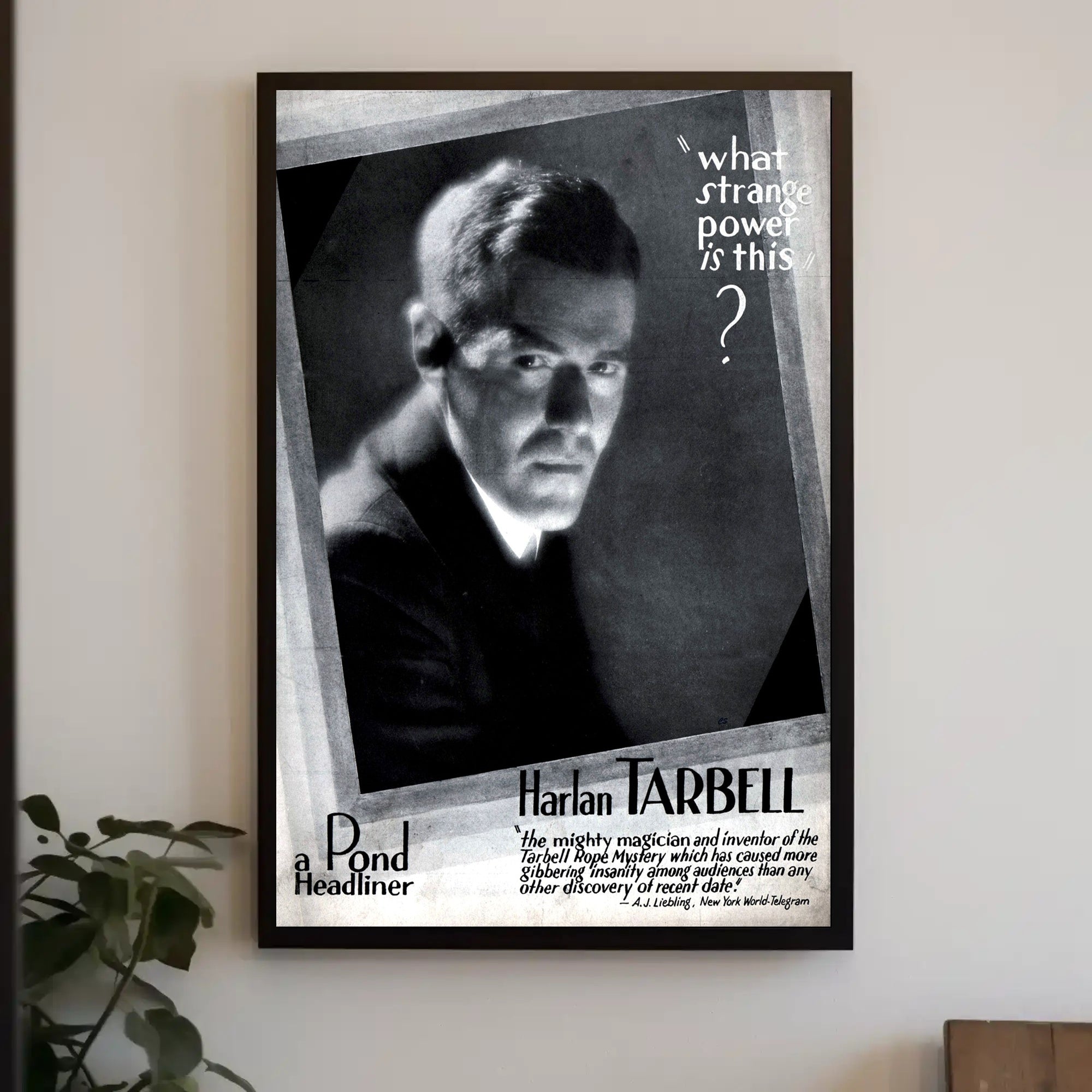 Harlan Tarbell Vintage Magic Mystery Art Poster