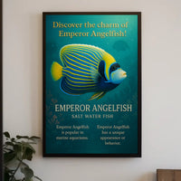 Discover the Charm of Emperor Angelfish Poster