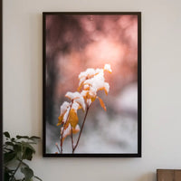 Snow-Kissed Autumn Leaves Poster