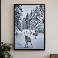 Winter Wonderland With Reindeer Poster
