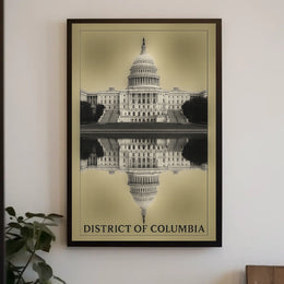 District Of Columbia Reflection Poster