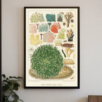 Great Barrier Reef Corals Poster