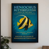 Discover the Heniochus Butterflyfish Poster