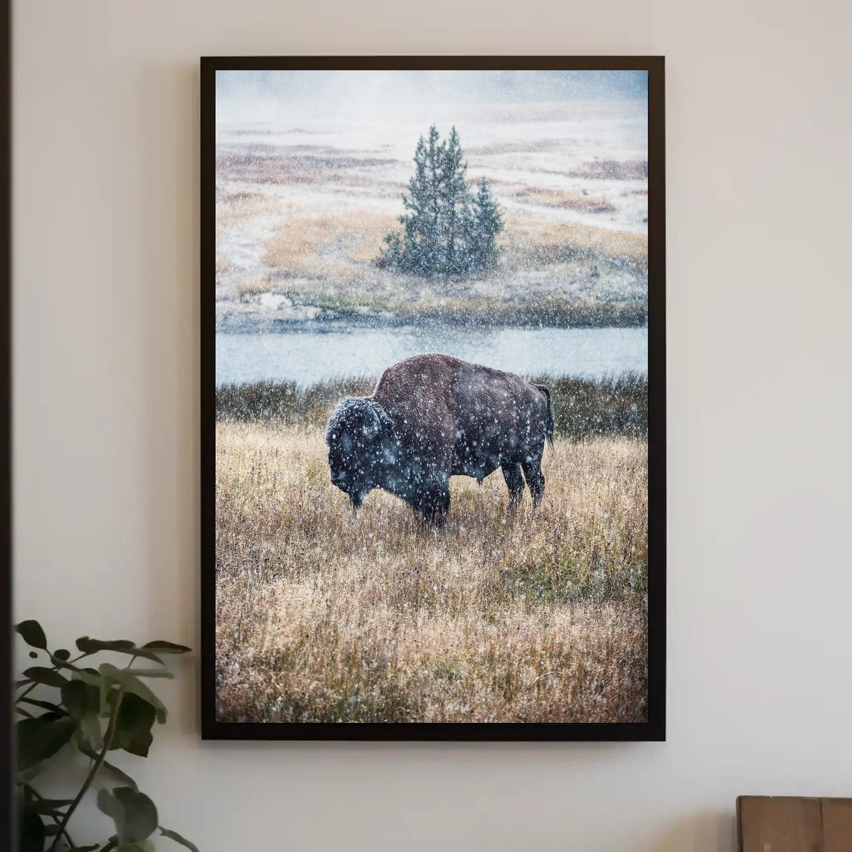 Majestic Bison In Winter Poster