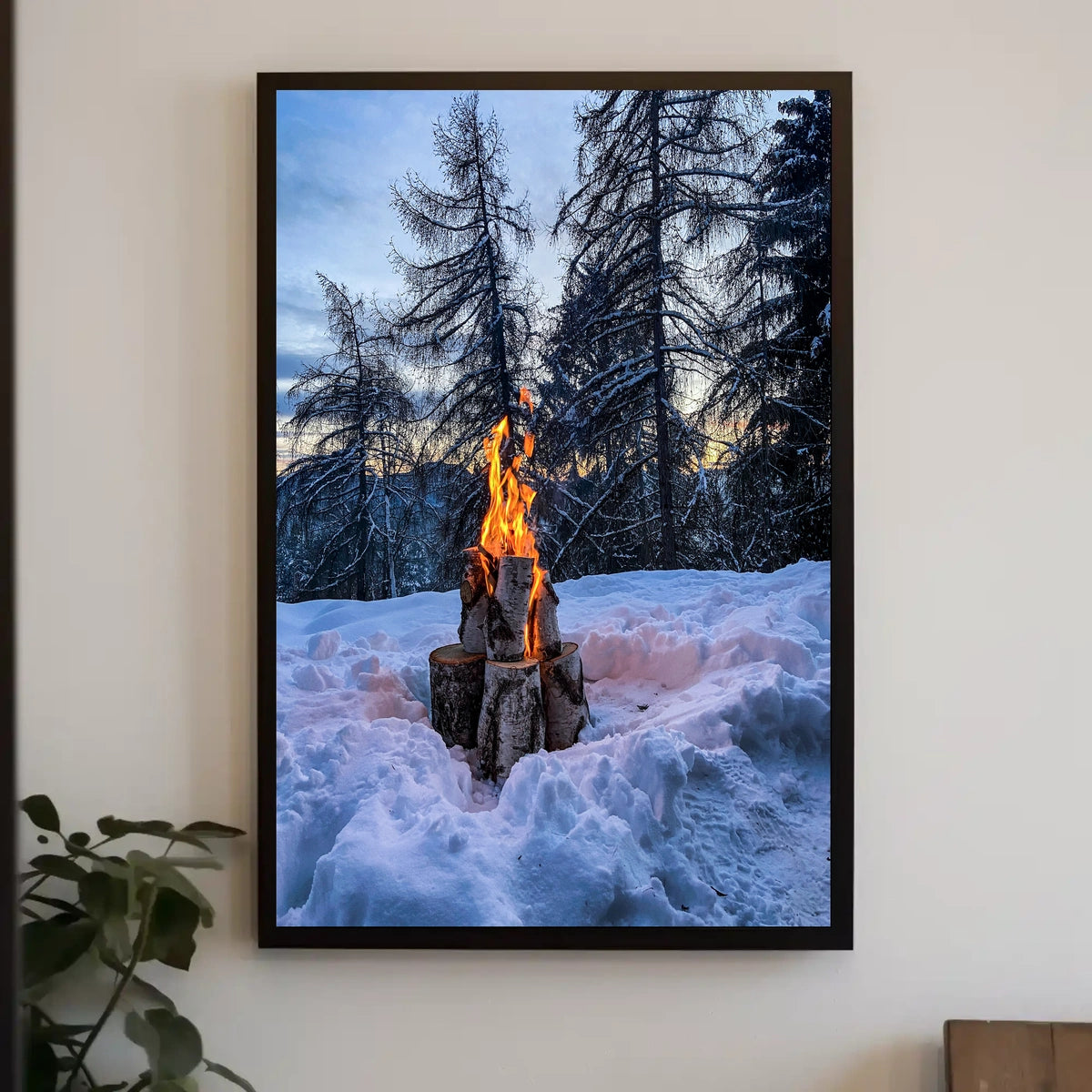 Winter Campfire In The Woods Poster
