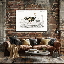 Ostrich Exploration in Ancient Continent Animal Poster