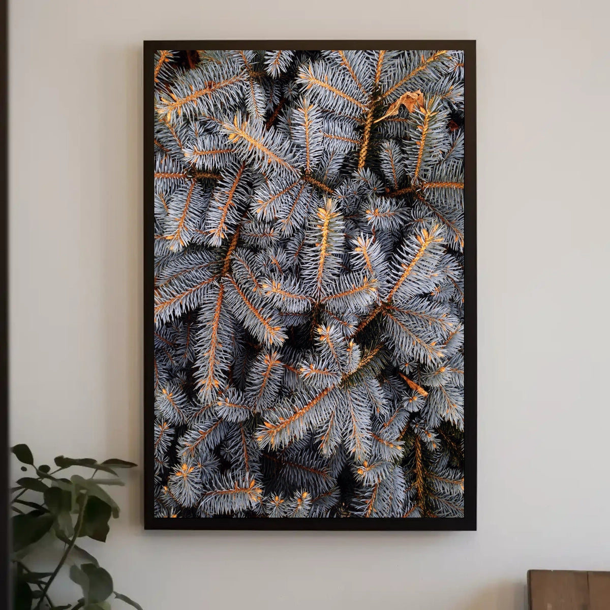 Evergreen Nature Tranquility Photorealistic National Park Poster