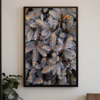 Evergreen Nature Tranquility Photorealistic National Park Poster