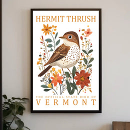 Vermont Hermit Thrush Nature Art Poster Print