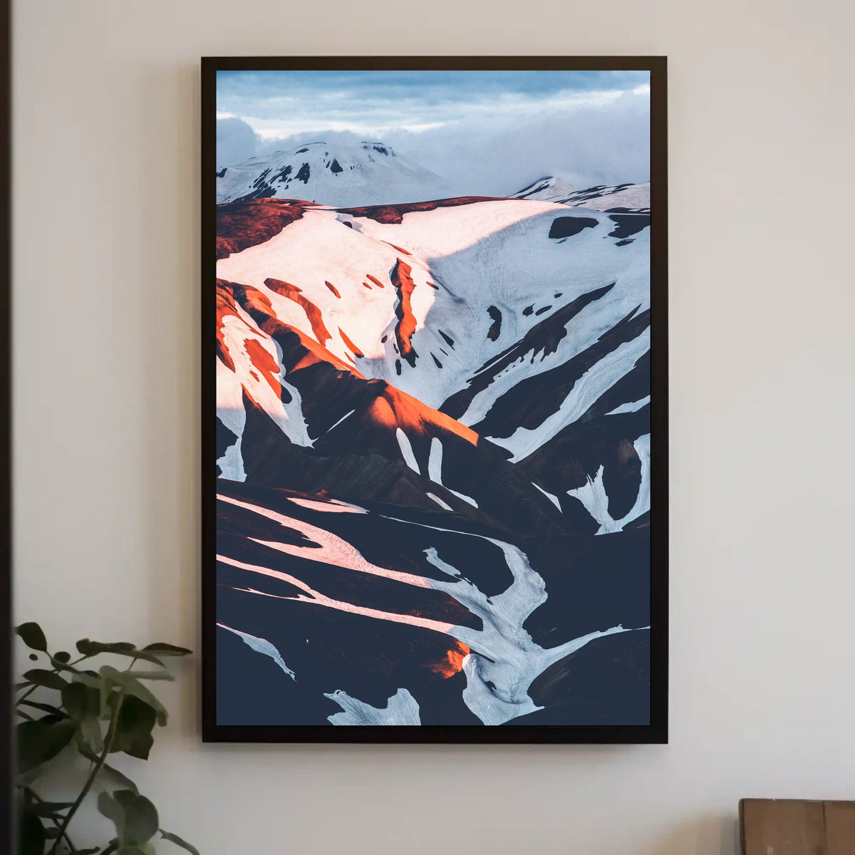 Majestic Owl In Focus Poster