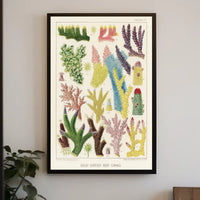 Great Barrier Reef Corals Poster